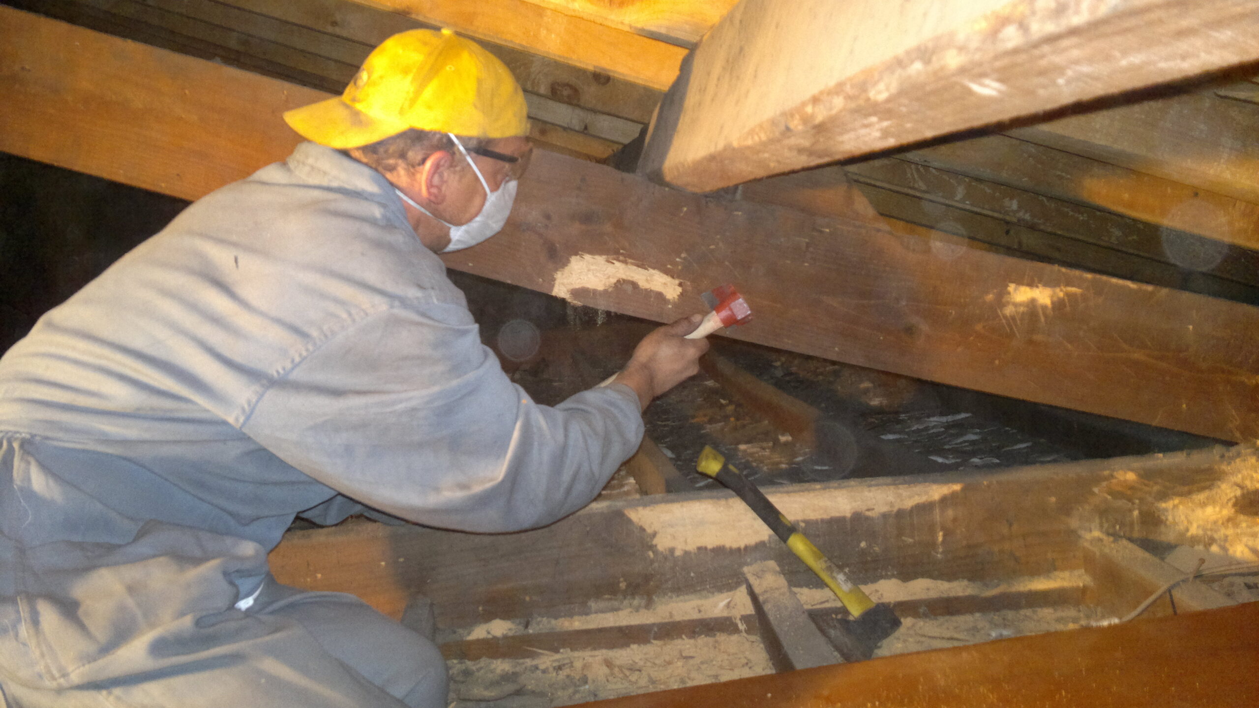 Tratamiento especializado de madera en estructuras históricas de Álava