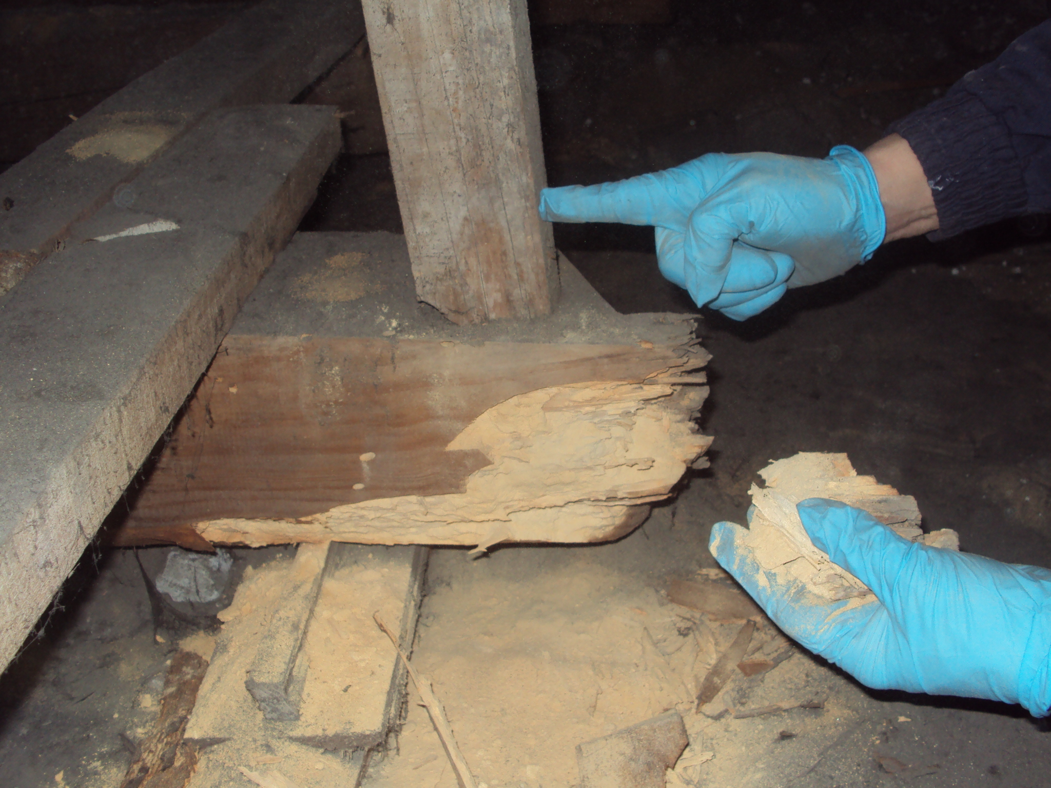 Tratamiento profesional de madera en Bizkaia