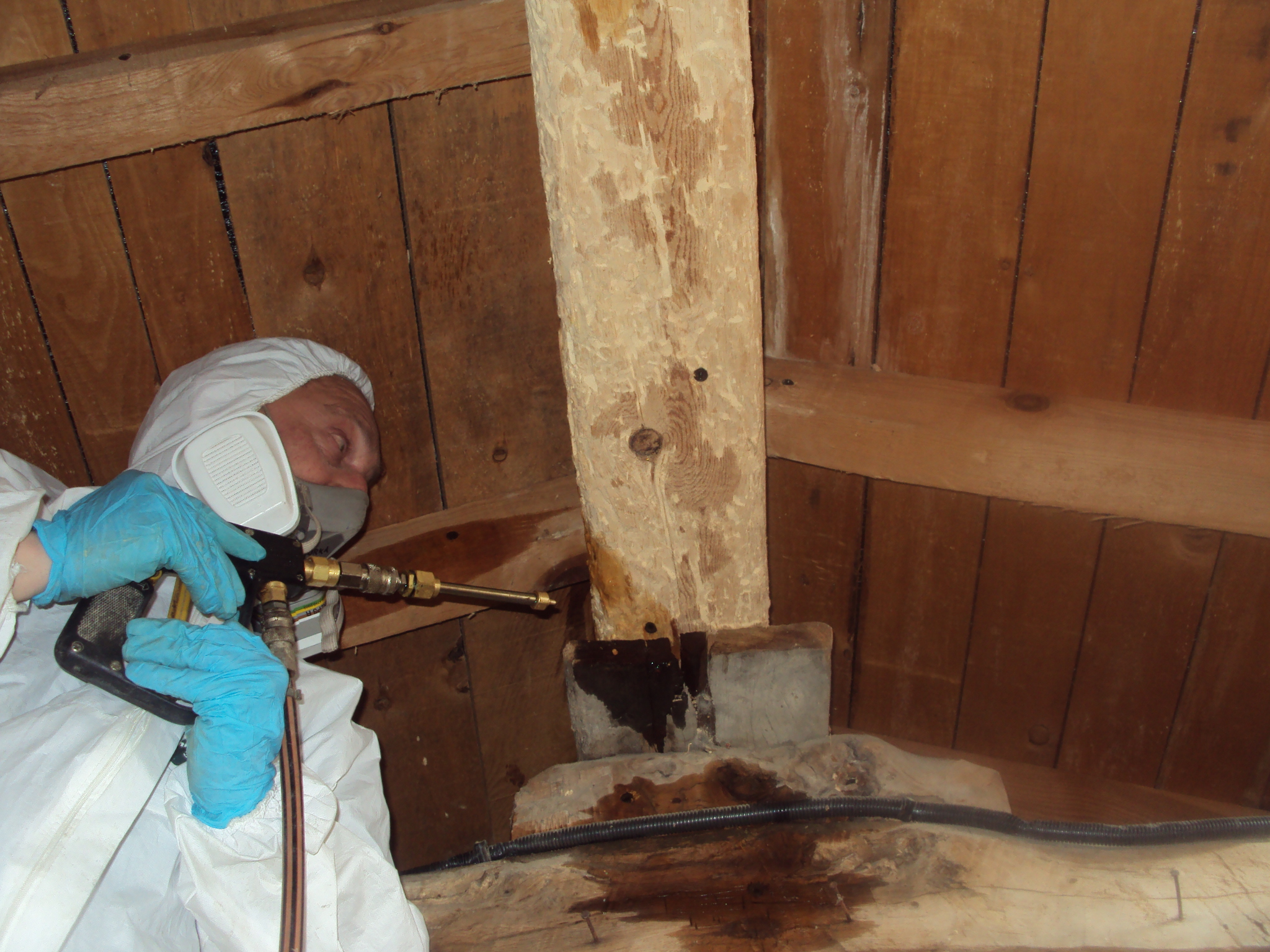 Tratamiento profesional de madera en estructuras de Gipuzkoa