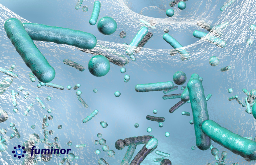 Control de Legionella en Bilbao