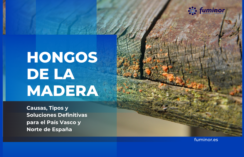 Hongos de la Madera