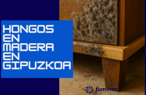 Hongos en Madera en Gipuzkoa