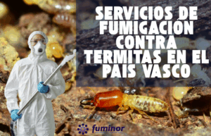 Fumigación contra Termitas en el País Vasco