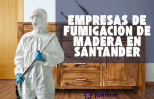 fumigación de madera en Santander